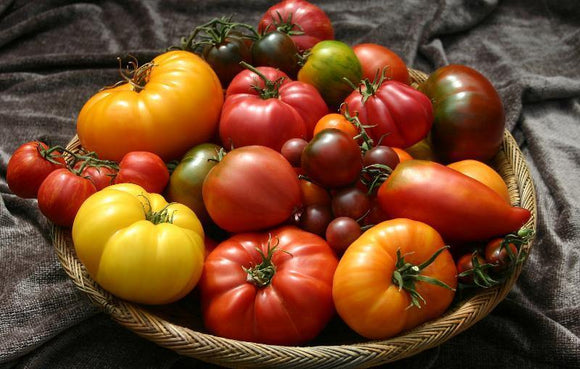 Tomato Seeds - Country Creek LLC