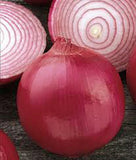 ONION SEEDS, RED BURGANDY, HEIRLOOM, ORGANIC NON-GMO SEEDS, RED SWEET, GREAT FOR COOKING - Country Creek LLC