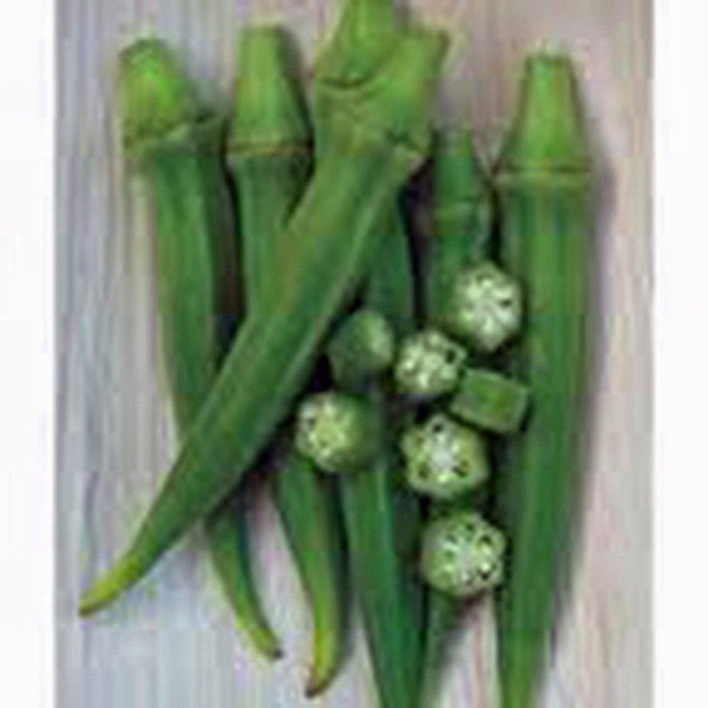 Okra Seed, Perkins Long Pod, Heirloom, NON GMO Seeds, Okra Seeds