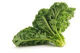 KALE SEED  , VATES BLUE CURLED SCOTCH KALE SEEDS, SEEDS PER PACKAGE, ORGANIC , NON GMO, DELICIOUS IN SALADS - Country Creek LLC