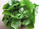 Lettuce Seed, Butterhead Buttercrunch, Heirloom, Organic, NON-GMO Seeds, - Country Creek LLC