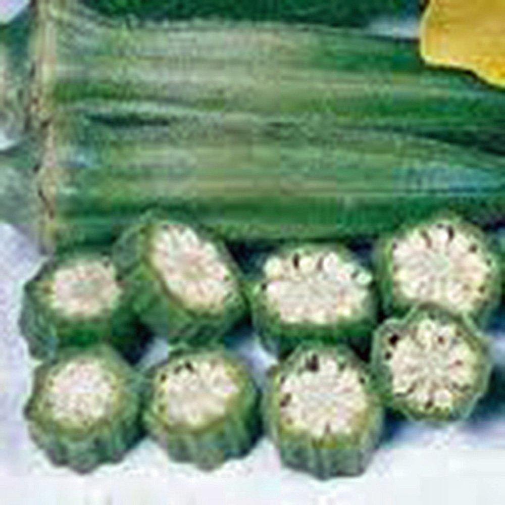 Perkns Long Pod Okra Seeds Herloom Seeds Early Harvest - Etsy