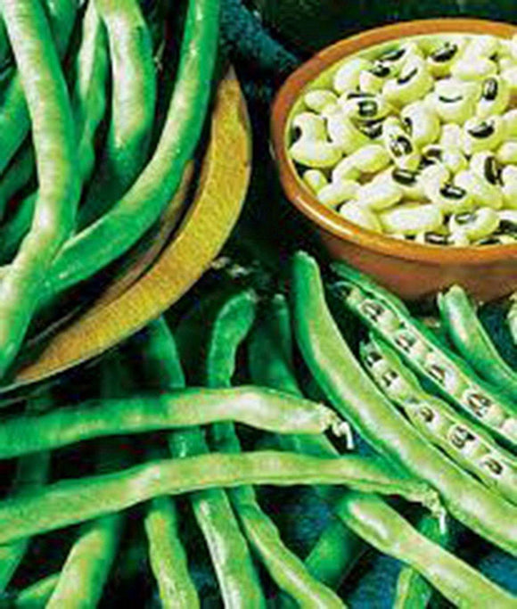 Peas, California Black Eye, Heirloom, Organic , NON GMO Seeds, a Simply Delicious Pea - Country Creek LLC
