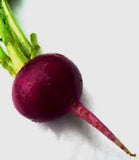 BEETS, EARLY WONDER, HEIRLOOM, ORGANIC, NON GMO SEEDS, FAST GROWING AND TASTY BEET - Country Creek LLC