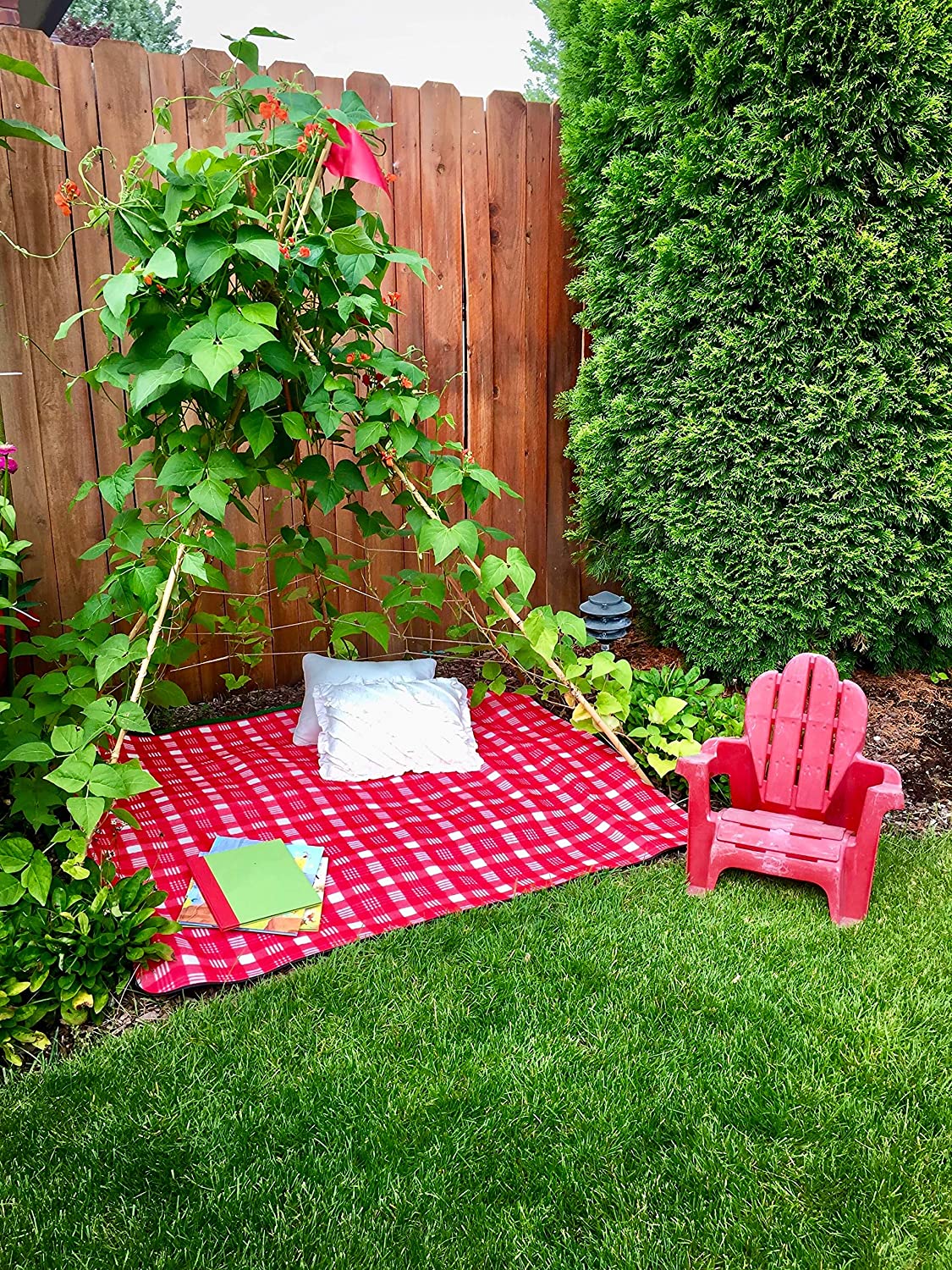flowering tent Living Growing Trellis Tent + FLOWER Seeds- for Planting, Vining and P –  Country Creek LLC