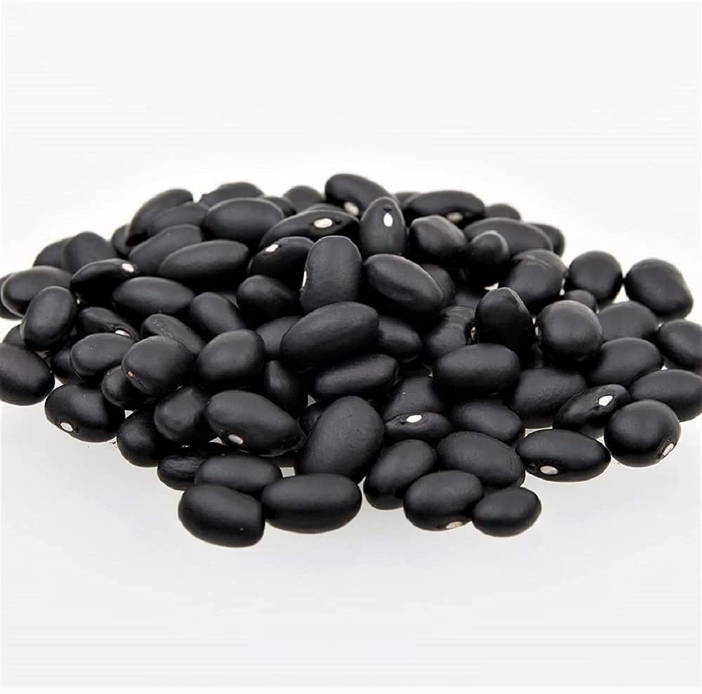 black bean seeds for planting Bean Seed, Black Turtle Bush Bean, Heirloom, NON GMO Seeds, Terrific Black Beans