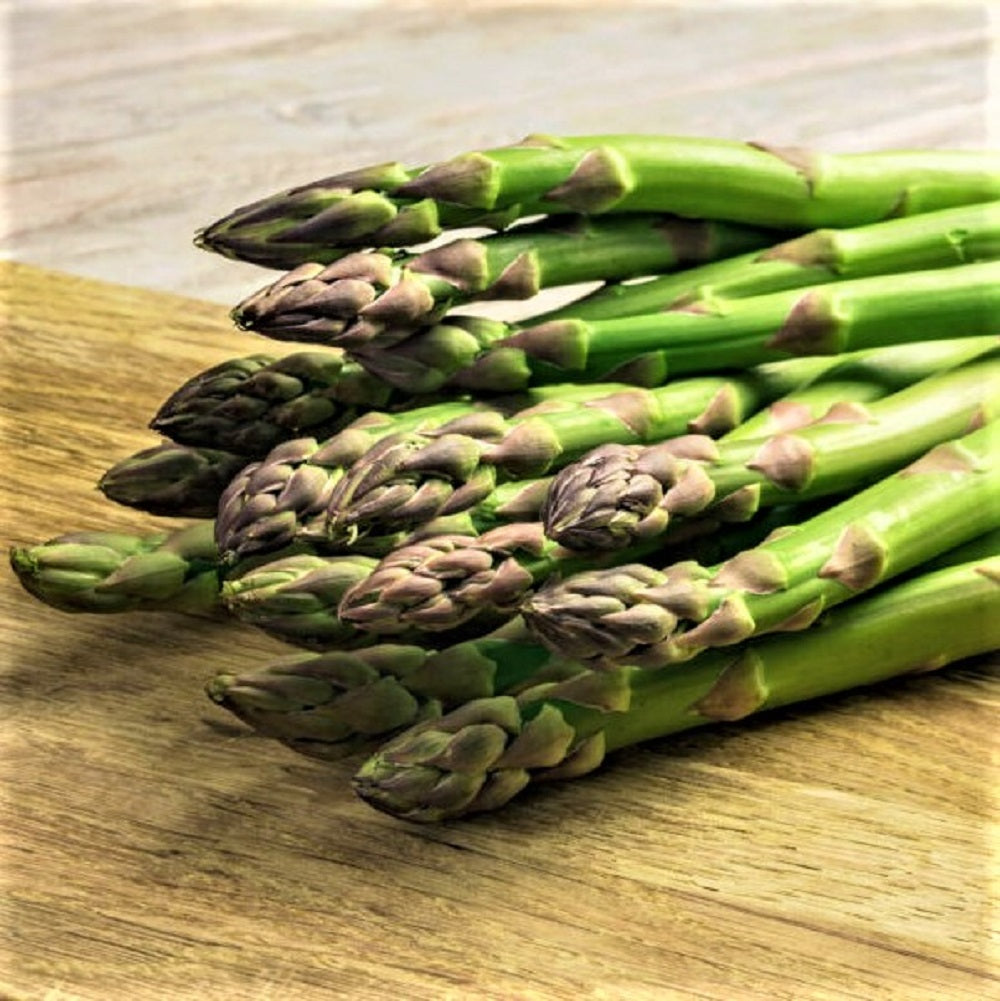 plant asparagus from seed Asparagus, Mary Washington, Heirloom, , NON GMO Seeds, Tasty Healthy V –  Country Creek LLC