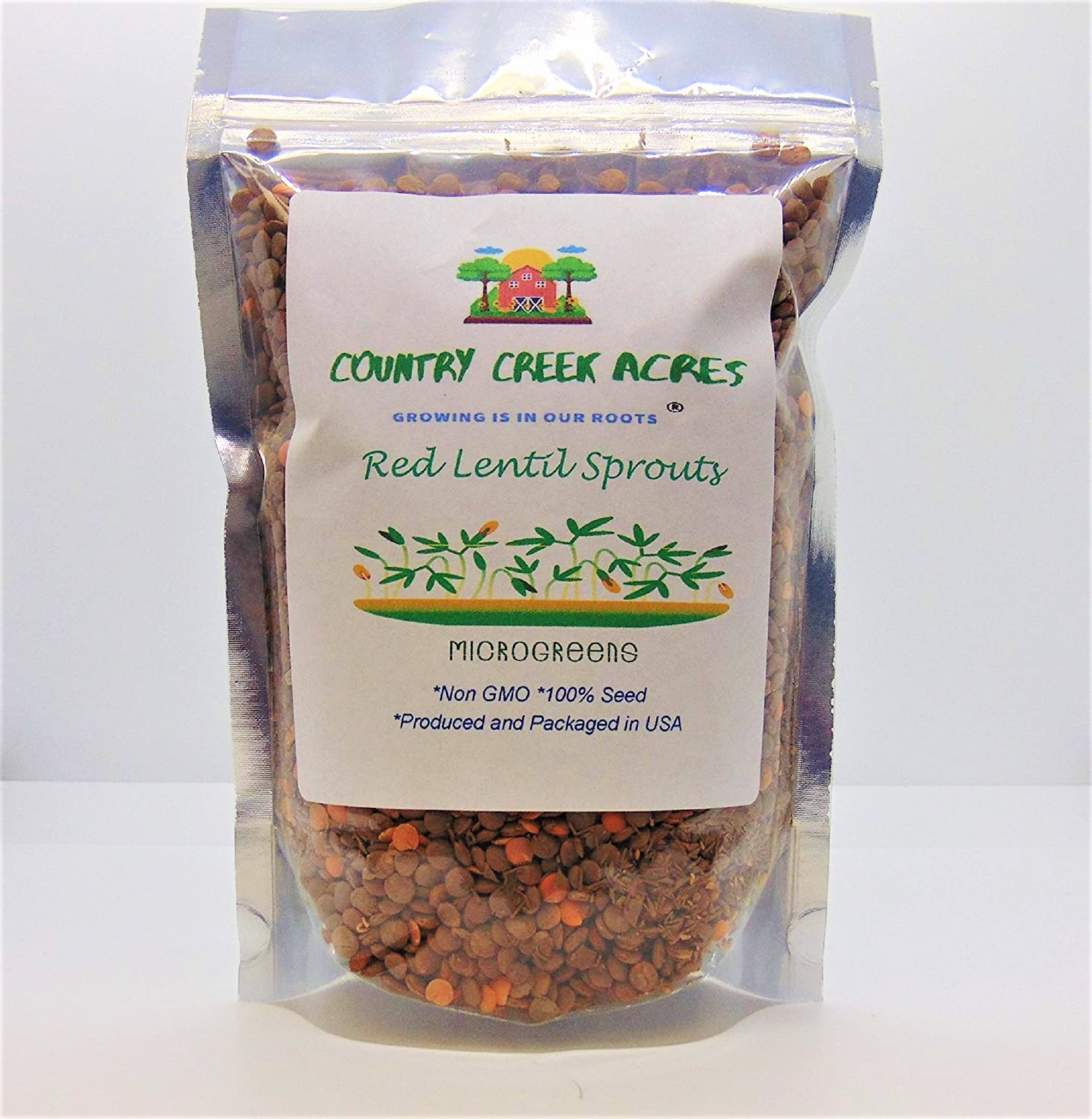 where to buy lentil seeds for planting Lentil Seed Red Lentil Seeds, Microgreen, Sprouting, NON GMO - Country  Creek LLC Brand