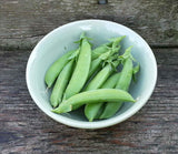 Dundale Pea Seeds, Heirloom, Non GMO, 20+ Seeds, Delicious Peas - Country Creek LLC