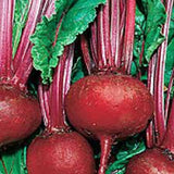BEETS,DETROIT DARK RED, HEIRLOOM, ORGANIC, NON GMO SEEDS, TENDER AND SWEET, DEEP RED - Country Creek LLC