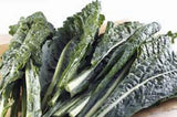 KALE, PREMIER, ORGANIC NON-GMO SEEDS, GREAT FOR SALADS, COOKING, HIGH IN ANTIOXIDANT - Country Creek LLC