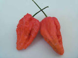 Ghost Pepper, Whole Dried Ghost Peppers,  from the hottest pepper in the world Bhut Jolokia - Country Creek LLC