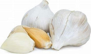 Elephant Garlic, Great for Planting, Eating or Cooking! Non GMO. Milder Tasting Garlic - Country Creek LLC