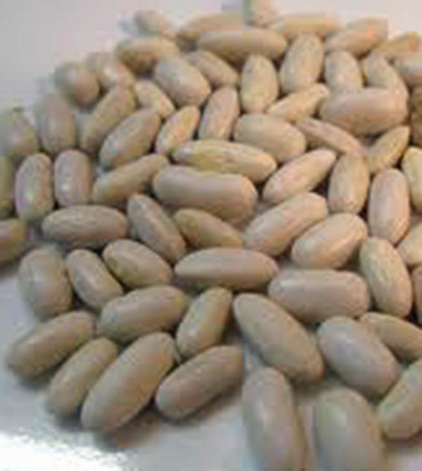 Slenderette Beans - Jumbo Pack Slenderette Beans - Jumbo Pack