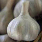 GARLIC BULBS , WHOLE FRESH CALIFORNIA SOFTNECK GARLIC BULB SOLD BY THE BULB.   GARLIC FOR PLANTING AND GROWING YOUR OWN GARLIC. THIS GARLIC IS ALSO FOR EATING . - Country Creek LLC