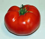 TOMATO, RUTGERS, HEIRLOOM, ORGANIC 100 SEEDS, DELICIOUSLY SWEET RED TASTY FRUIT - Country Creek LLC