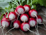 Sparkler White Tip Radish Seed, Home garden, Sprouting Seeds - Country Creek LLC