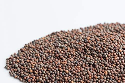 Broccoli Microgreen Jar Kit- (1) 2 oz Broccoli Seed Pack (1) Glass mic ...