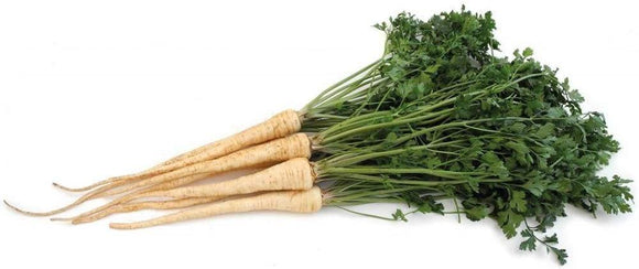 Hamburg Rooted Parsley Seeds - Non-GMO - Parsley Flavored Root and Leaves. Used as a Flavoring in soups and Salads, as a Garnish. - Country Creek LLC - Country Creek LLC