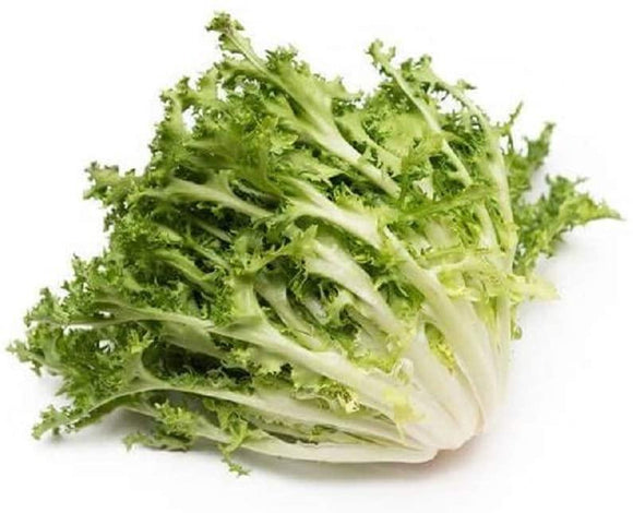 Green Curled Ruffec Endive Seeds - Non-GMO - A Classic Heirloom Endive That adds a Tasty and Unusual Punch to Any Salad. - Country Creek LLC - Country Creek LLC