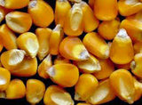 Corn Seed Garden Collection, Non GMO, Heirloom, Organic Seeds, 6 Top Varieties - Country Creek LLC