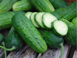 CUCUMBER SEEDS , BOSTON PICKLING CUCUMBER SEEDS , HEIRLOOM, ORGANIC NON-GMO SEEDS, GREAT FOR PICKLING - Country Creek LLC