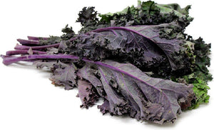 Red Kale Seeds, Non-GMO Garden Seeds by Country Creek Acres - Country Creek LLC