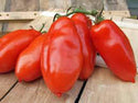 TOMATO, SAN MARZANO, HEIRLOOM, ORGANIC, 500 SEEDS, TOMATO SEEDS, CLASSIC TOMATO - Country Creek LLC