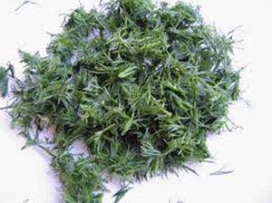 Bouquet Dill Seeds - Walmart Supplies Bouquet Dill Seeds - Walmart Supplies