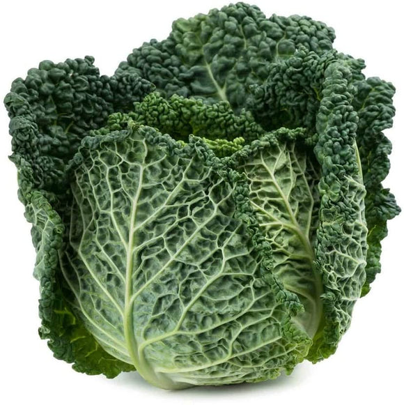 Savoy Perfection Cabbage Seeds- Non-GMO - A Unique Hardy Crop with a Sweet and Delicate Flavor That Makes an Excellent Addition to Many Dishes. - Country Creek LLC - Country Creek LLC