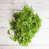 Chervil Seeds, Herb, NON GMO Seeds, Organic, Seeds ,  Use the herb fresh to flavor vinaigrettes. - Country Creek LLC