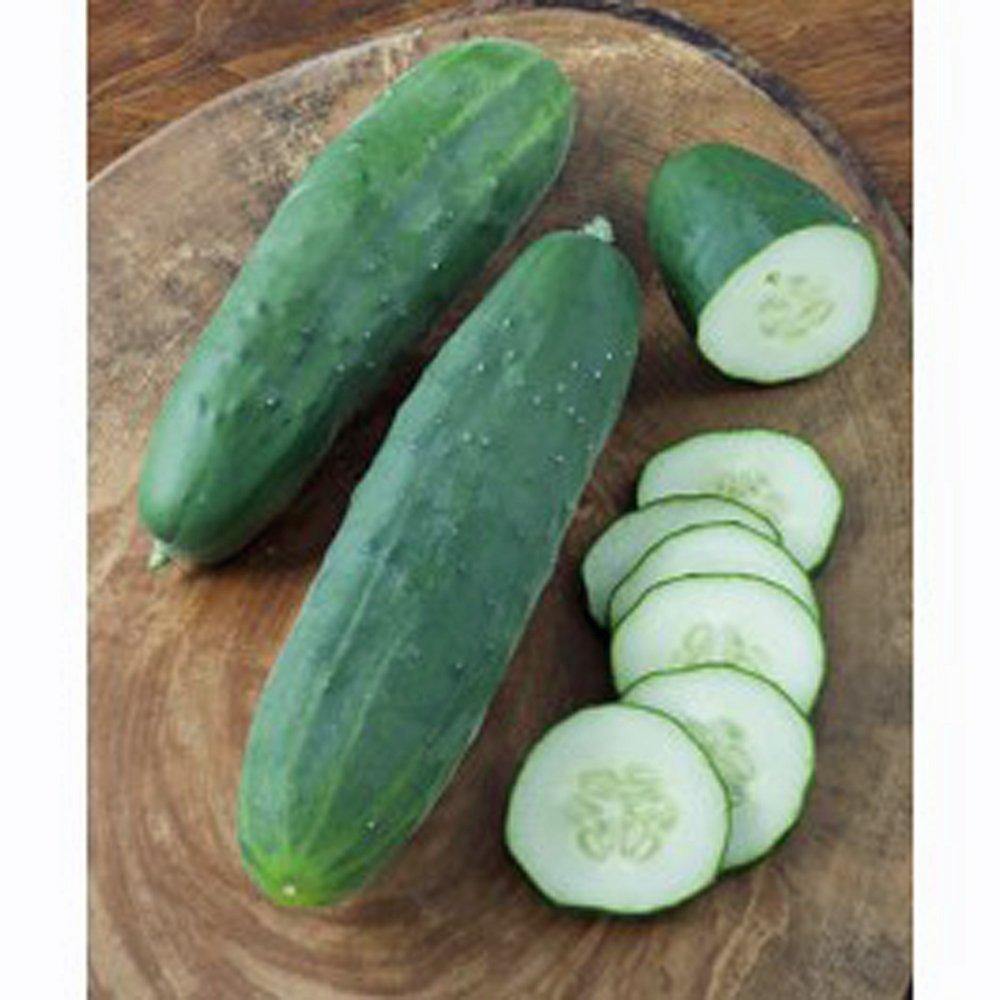 CUCUMBER SEEDS , STRAIGHT EIGHT CUCUMBER SEEDS, HEIRLOOM, NON-GMO SEED –  Country Creek LLC