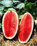 Seeds-Watermelon, KLECKLEY'S Sweet, Heirloom - Country Creek LLC