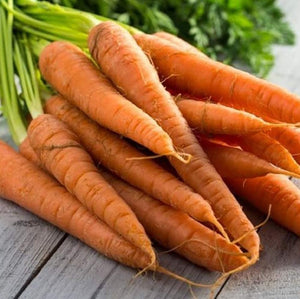 Tendersweet Carrot Seeds - Non-GMO - Rich-Orange Colored Roots are coreless, Crisp and Very Sweet. Perfect for Canning, juicing, or Eating raw. - Country Creek LLC - Country Creek LLC