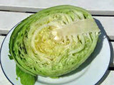Cabbage Seed, Golden Acre, Heirloom, Organic, NON GMO Seeds, Tasty Healthy Veggie - Country Creek LLC