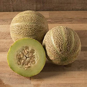 Rocky Ford Green Flesh Melon Seeds - Non-GMO - A Small Melon with a Crisp, Fresh Taste and a deep fine Grained Green Flesh. - Country Creek LLC - Country Creek LLC