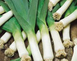 LEEK, AMERICAN FLAG LEEK SEEDS, ORGANIC , NON GMO SEEDS PER PACKAGE, GREAT FOR SALADS OR AS A GARNISH - Country Creek LLC