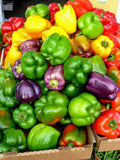 PEPPER SEED , CALIFORNIA WONDER PEPPER SEEDS, HEIRLOOM, ORGANIC NON-GMO SEEDS, DELICIOUS LARGE PEPPERS - Country Creek LLC