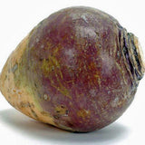 Turnip Seeds,purple Top White Globe Turnip, Heirloom, Organic, Non Gmo,500 seeds vegatable - Country Creek LLC