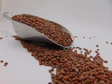 Radish Seeds- Black Spanish Round Radish Seed, Non-GMO - Country Creek LLC