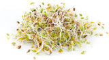 Top It Off! Microgreen Sprouting Mix - Perfect Blend of Non-GMO Radish & Alfalfa Sprouting Seeds- Country Creek LLC - Country Creek LLC