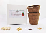 Joyous Jiffy "Veggie" Collection #2-(2)Round 3x3 Jiffy pots,(2)Soil Peat Pellets,(1)25+ Roma II Bush Bean Seeds,(1) 25+ Sugar Daddy Pea Seeds,(1)25+ Broccoli Raab Seeds,&(1)25+ Giant Belgium Tom Seeds - Country Creek LLC