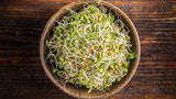 Alfalfa Sprout Seed, Sprouts, Heirloom - Country Creek LLC