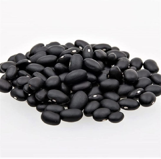 Bean Seed, Black Turtle Bush Bean, Heirloom, Organic, NON GMO Seeds, Terrific Black Beans - Country Creek LLC