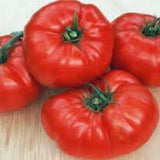 TOMATO SEEDS , BEEFSTEAK, HEIRLOOM, ORGANIC SEEDS, GREAT SLICED TOMATO, DELICIOUS - Country Creek LLC