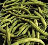 BEAN, COMMODORE BUSH, HEIRLOOM, ORGANIC, NON GMO SEEDS, GREAT TASTING FRESH OR COOKED - Country Creek LLC