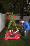 Living Growing Trellis Tent + VEGETABLE Seeds- for Planting, Vining and Playing. Seed Play Love - Country Creek Acres - Country Creek LLC