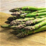 Asparagus, Mary Washington, Heirloom, Organic , NON GMO  Seeds, Tasty Healthy Veggie - Country Creek LLC