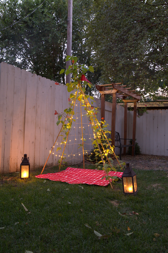 tent trellis Living Growing Trellis Tent + VEGETABLE Seeds- for Planting, Vining and Playing. Seed Play Love