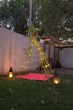 Living Growing Trellis Tent + FLOWER Seeds- for Planting, Vining and Playing. Seed Play Love - Country Creek Acres - Country Creek LLC